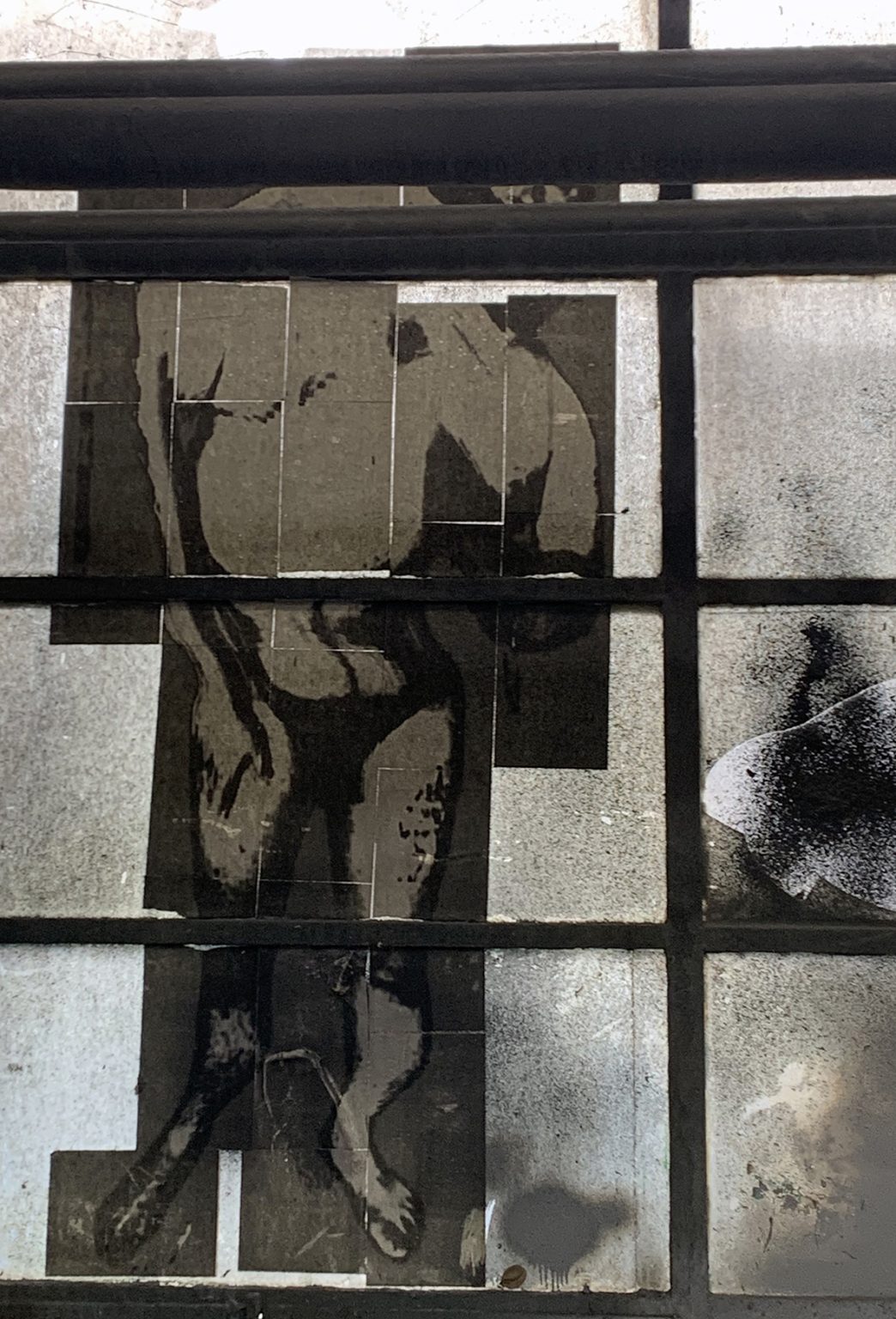 "Słońce zgasić, ptaszki pozabijać". Akcja artystyczna: Vitia Aberamok, fot. Mariusz Filipowicz, Arkadiusz Glegoła, Maciej Januszewski, Henryk Gostyński.