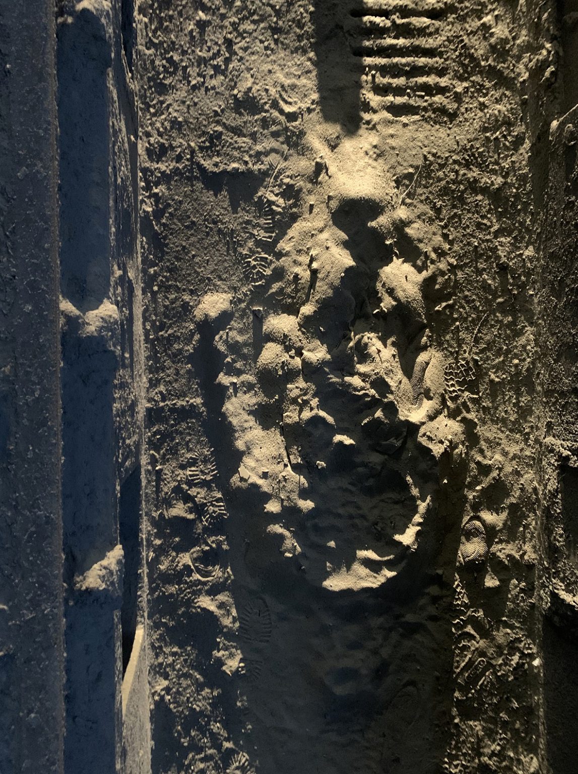 "Słońce zgasić, ptaszki pozabijać". Akcja artystyczna: Piotr Siwczuk, fot. Mariusz Filipowicz, Arkadiusz Glegoła, Maciej Januszewski, Henryk Gostyński.