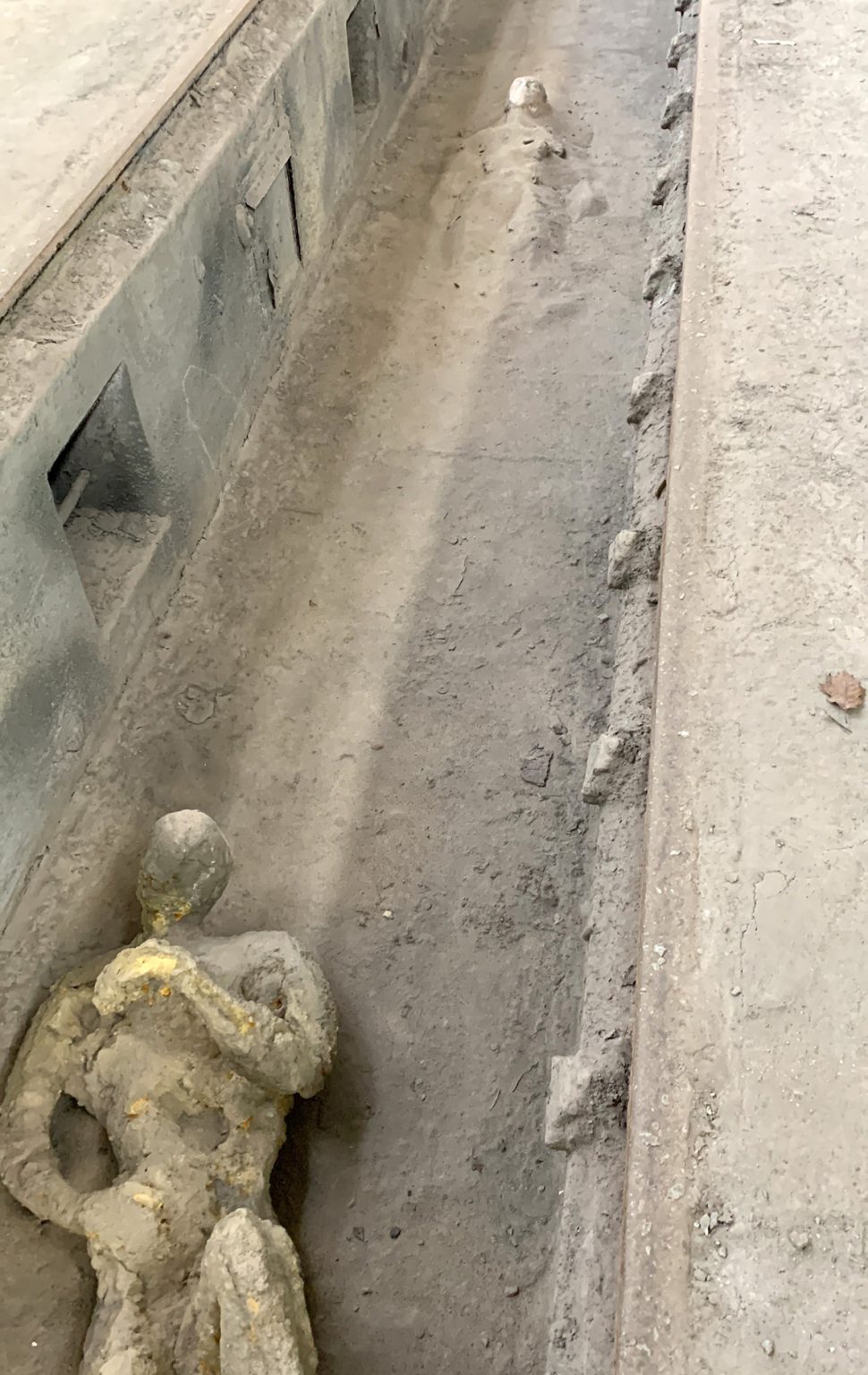 "Słońce zgasić, ptaszki pozabijać". Akcja artystyczna: Piotr Siwczuk, fot. Mariusz Filipowicz, Arkadiusz Glegoła, Maciej Januszewski, Henryk Gostyński.