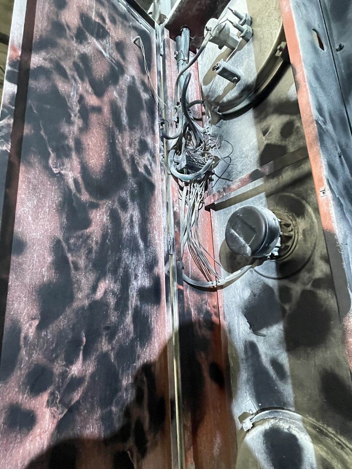 "Słońce zgasić, ptaszki pozabijać". Akcja artystyczna: Agata Popik, fot. Mariusz Filipowicz, Arkadiusz Glegoła, Maciej Januszewski, Henryk Gostyński.