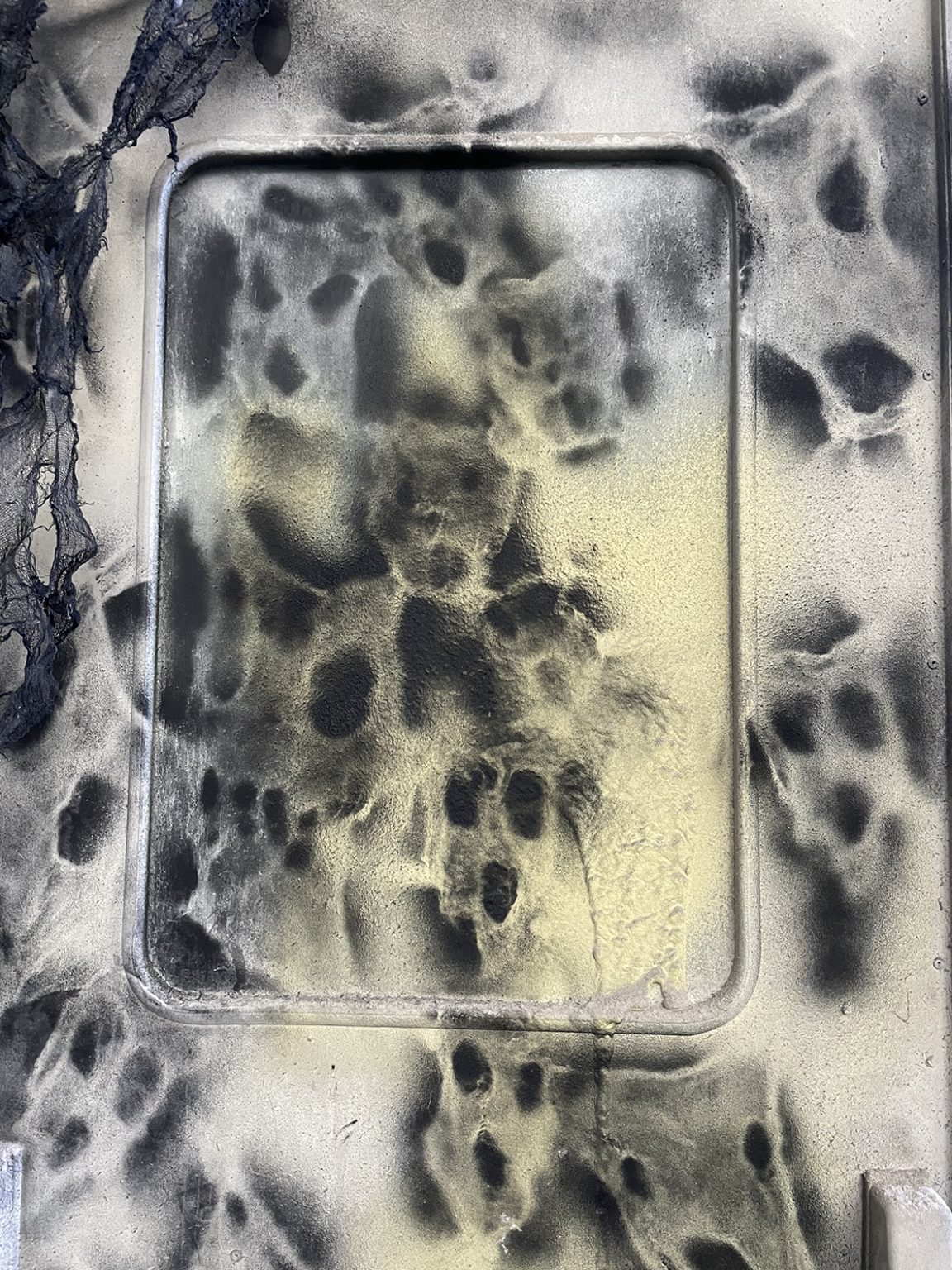 "Słońce zgasić, ptaszki pozabijać". Akcja artystyczna: Agata Popik, fot. Mariusz Filipowicz, Arkadiusz Glegoła, Maciej Januszewski, Henryk Gostyński.