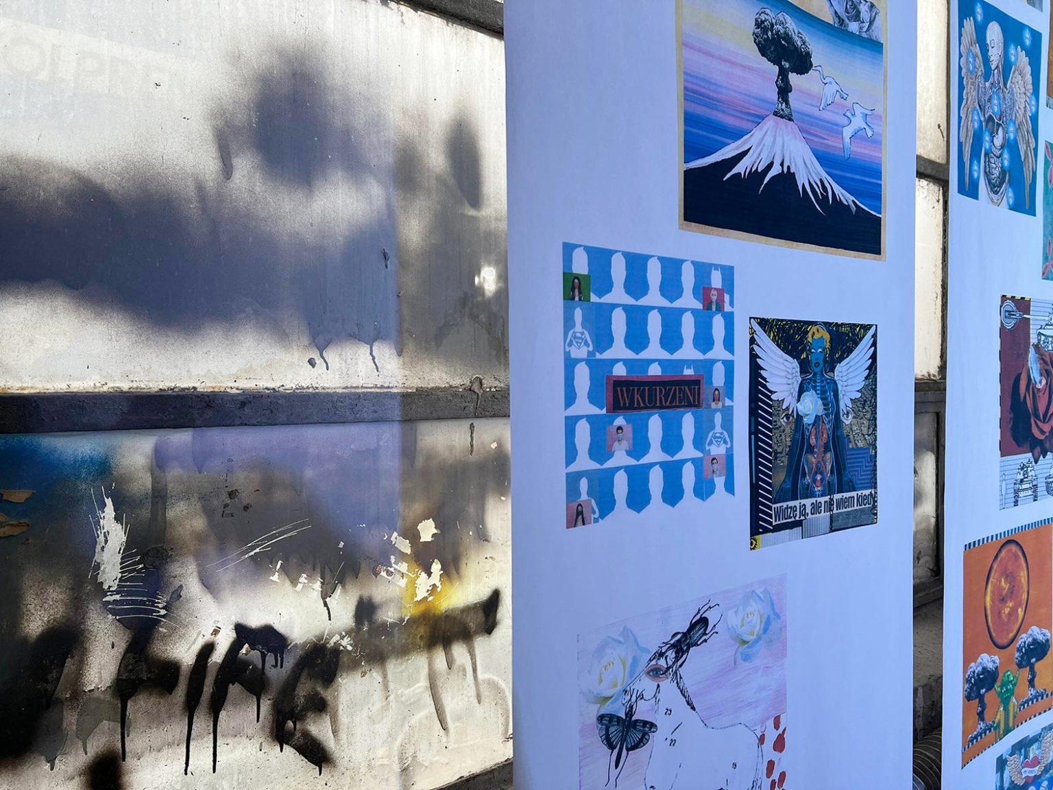 "Słońce zgasić, ptaszki pozabijać". Akcja artystyczna: Maria Piątek, fot. Mariusz Filipowicz, Arkadiusz Glegoła, Maciej Januszewski, Henryk Gostyński.