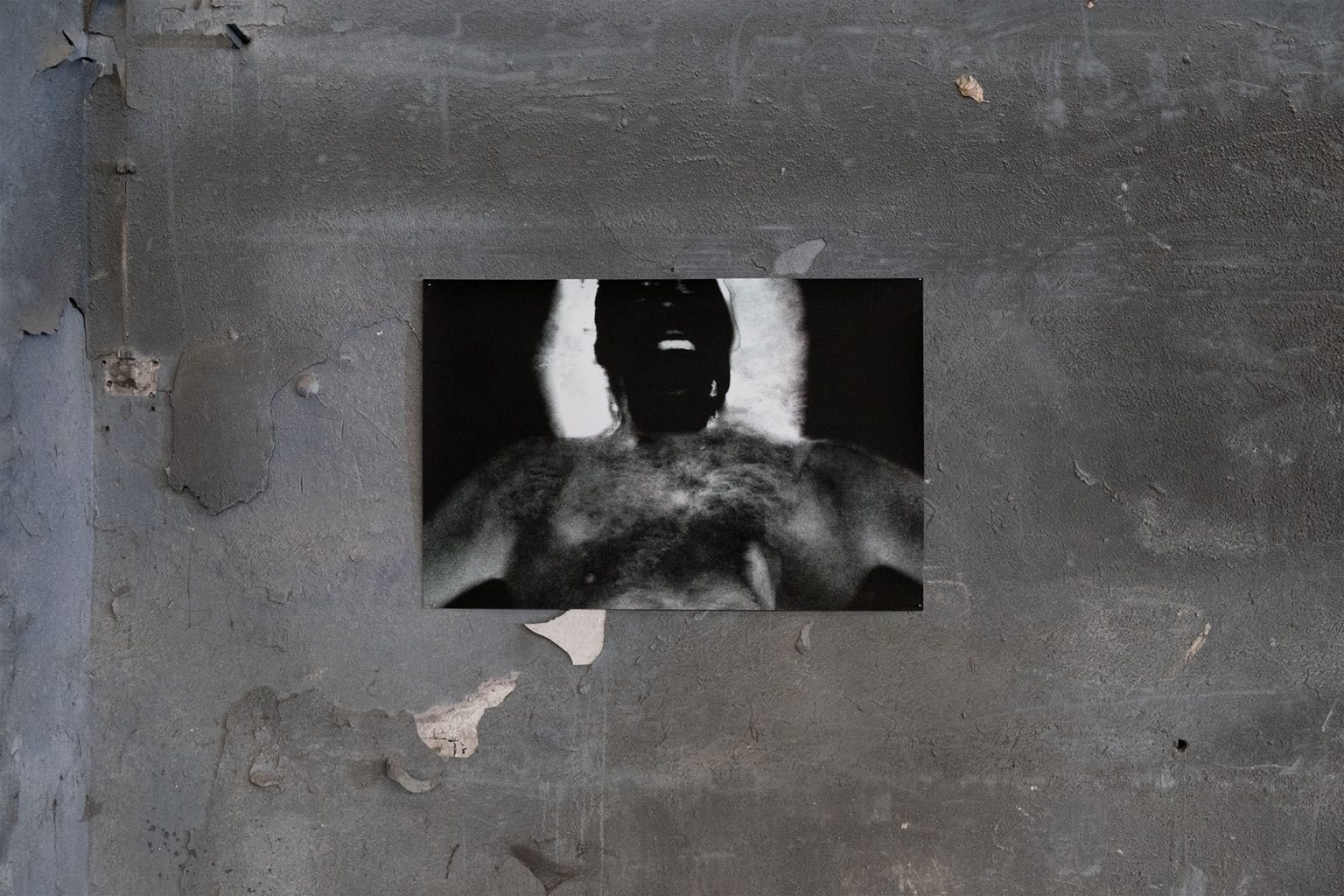 "Słońce zgasić, ptaszki pozabijać". Akcja artystyczna: Arkadiusz Glegoła, fot. Mariusz Filipowicz, Arkadiusz Glegoła, Maciej Januszewski, Henryk Gostyński.