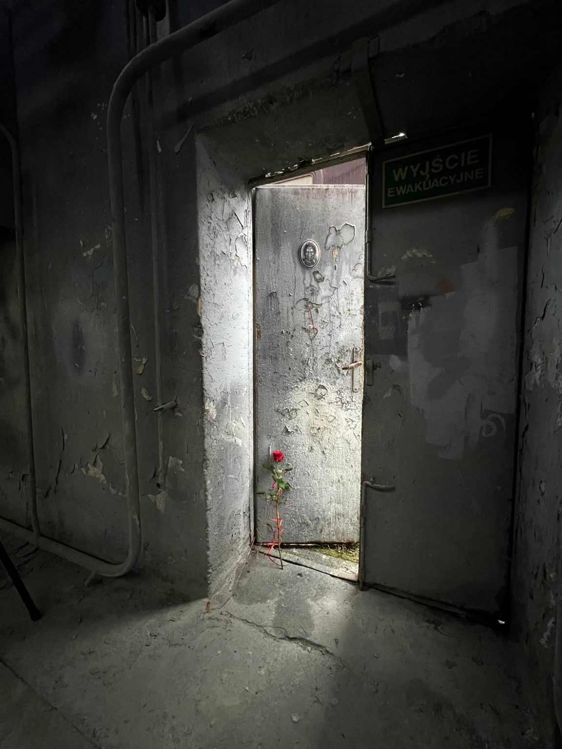 "Słońce zgasić, ptaszki pozabijać". Akcja artystyczna: Mariusz Filipowicz, fot. Mariusz Filipowicz, Arkadiusz Glegoła, Maciej Januszewski, Henryk Gostyński.