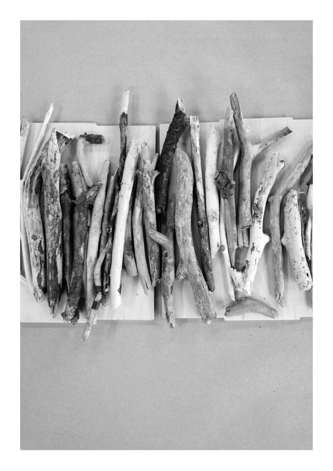 Kuratorski projekt wystawy pt. "Miejsce Troski" Agnieszki Kacprzak i Iwony Kalenik z III Pracowni Projektowania Wnętrz Wydziału Architektury Wnętrz ASP w Warszawie.