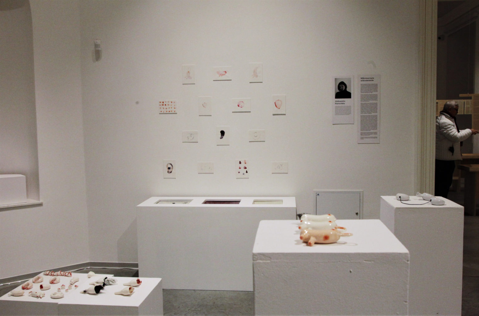 Prace wykonane z porcelany eksponowane na białych kubikach