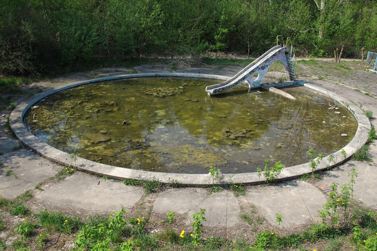 Opuszczony basen ze zjeżdżalnią. Zalane wodą dno basenu jest pogruchotane, porośnięte dziką roślinnością.
