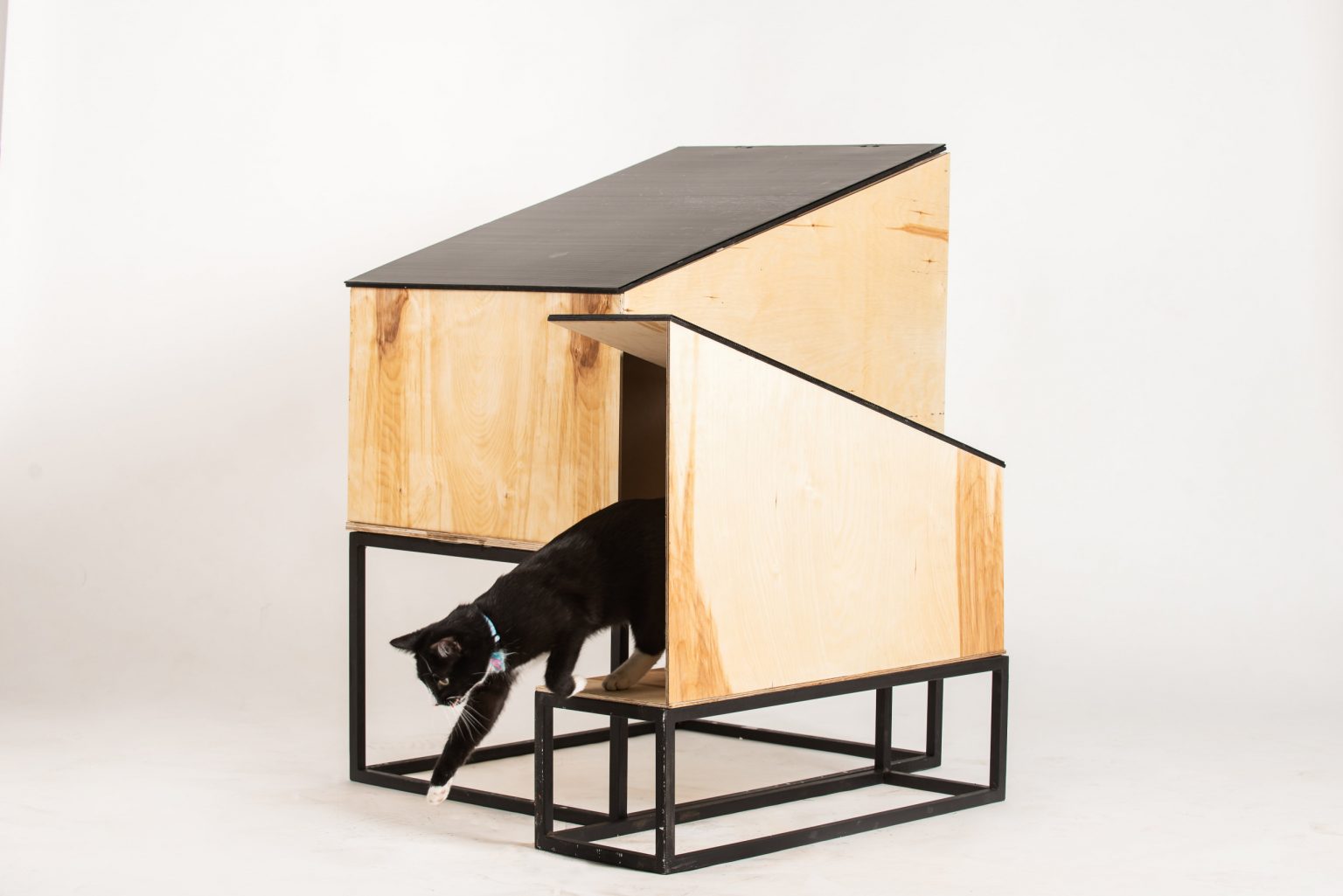 Kot wychodzi z drewnianego domku z czarnym, skośnym dachem.