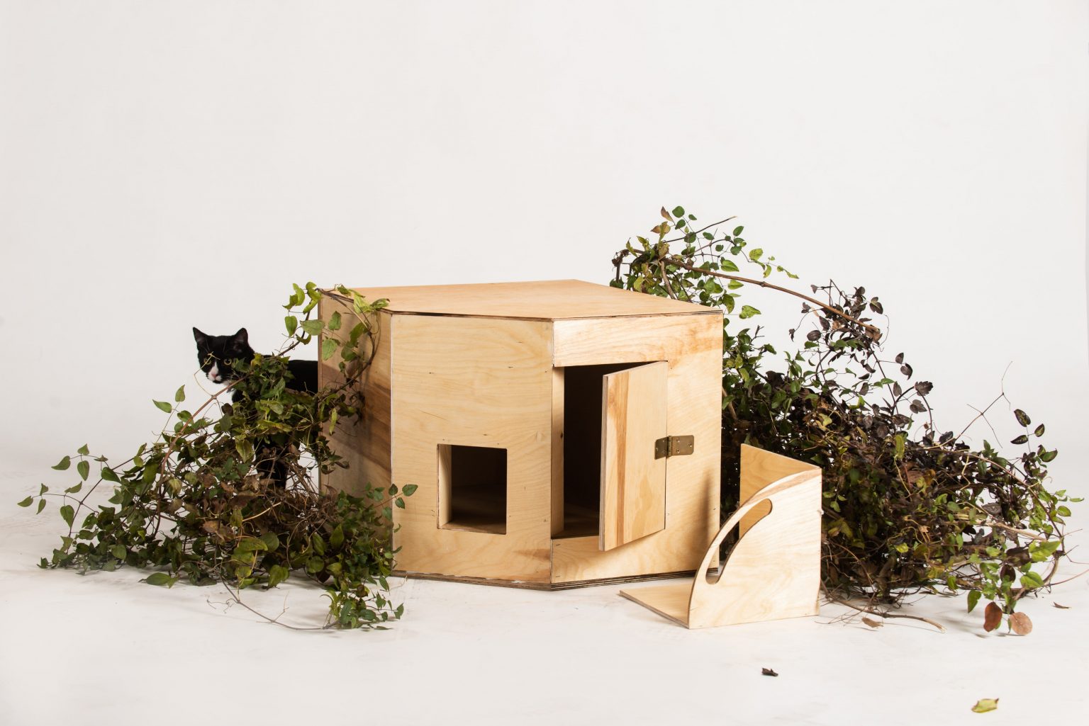Kot wygląda zza małego drewnianego, otoczonego zielonymi gałęziami domku