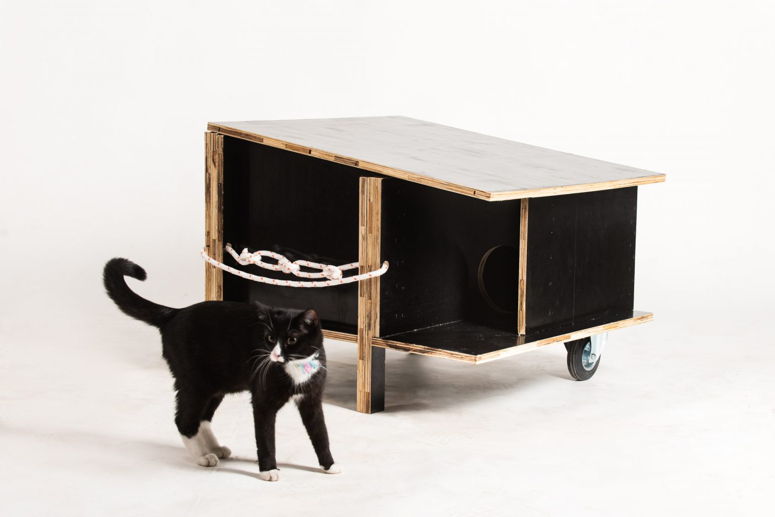 Kot stoi przed małym, mobilnym domkiem na kółkach