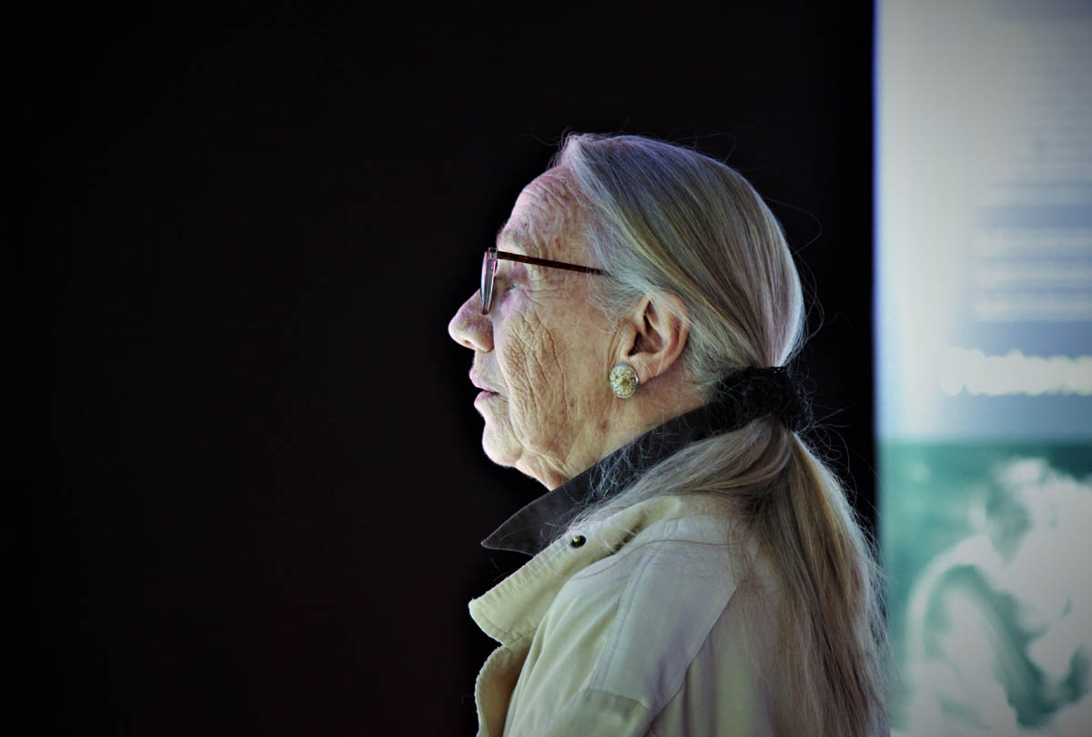 Wernisaż wystawy "Holoubek. Trzeba mieć pogląd na świat", fot. ASP w Warszawie