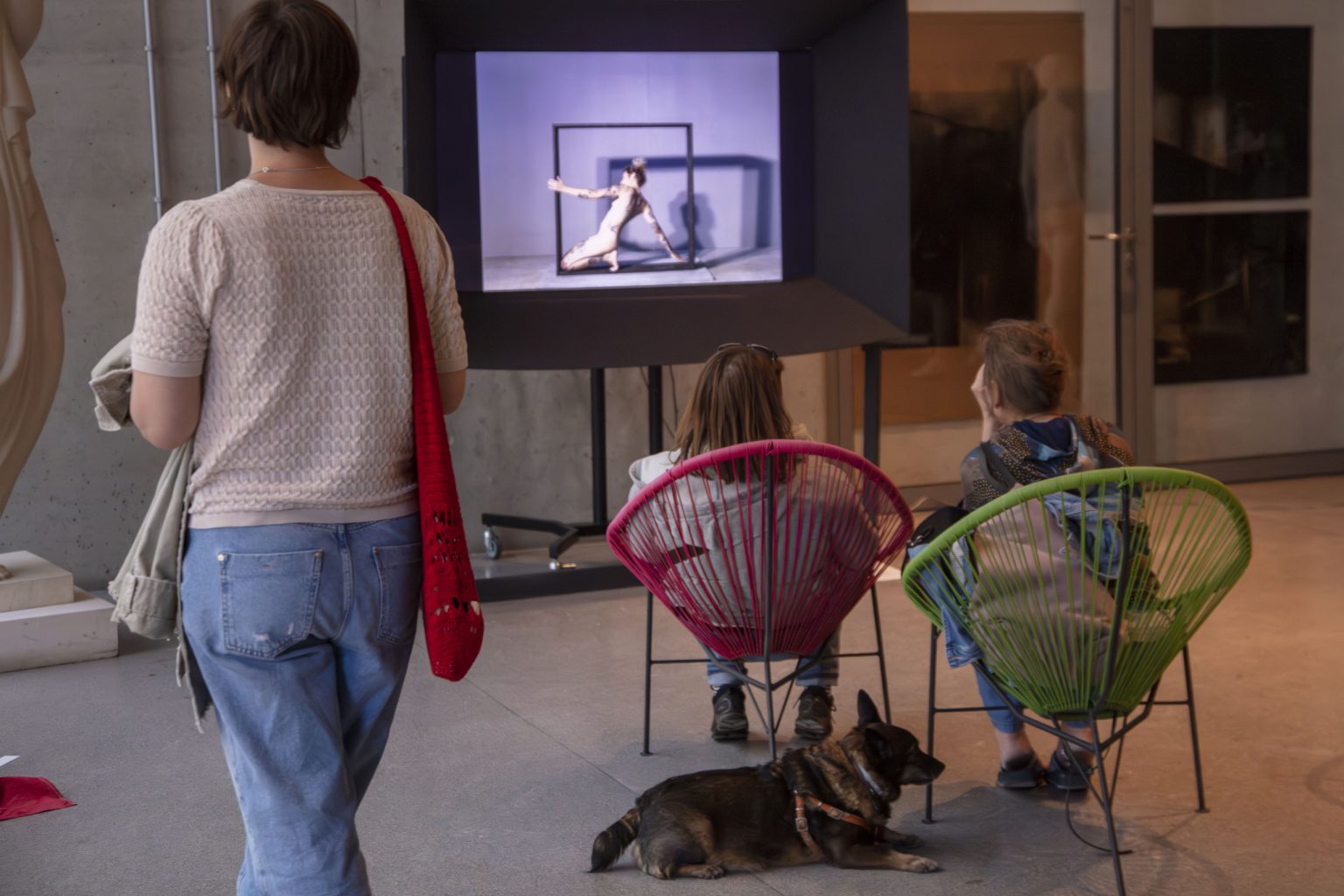 Dwie kobiety oglądają wyświetlany na telewizorze film, siedzą na krzesłach za krzesłem jednej z nich leży nie zainteresowany filmem pies