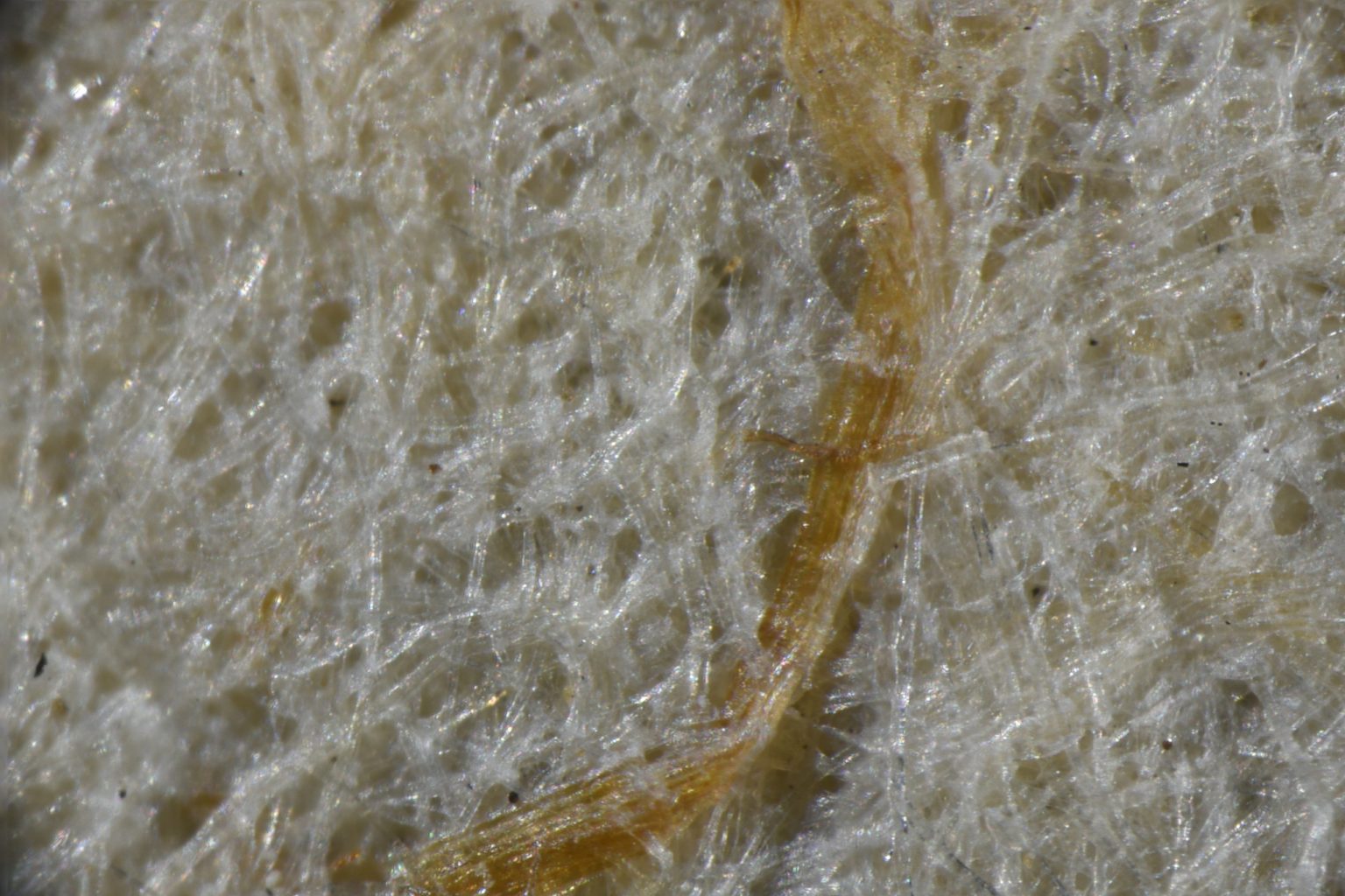 Na zbliżeniu widać nierównomierną fakturę papieru przez środek przechodzi lekko żółtawa żyła pochodzenia organicznego