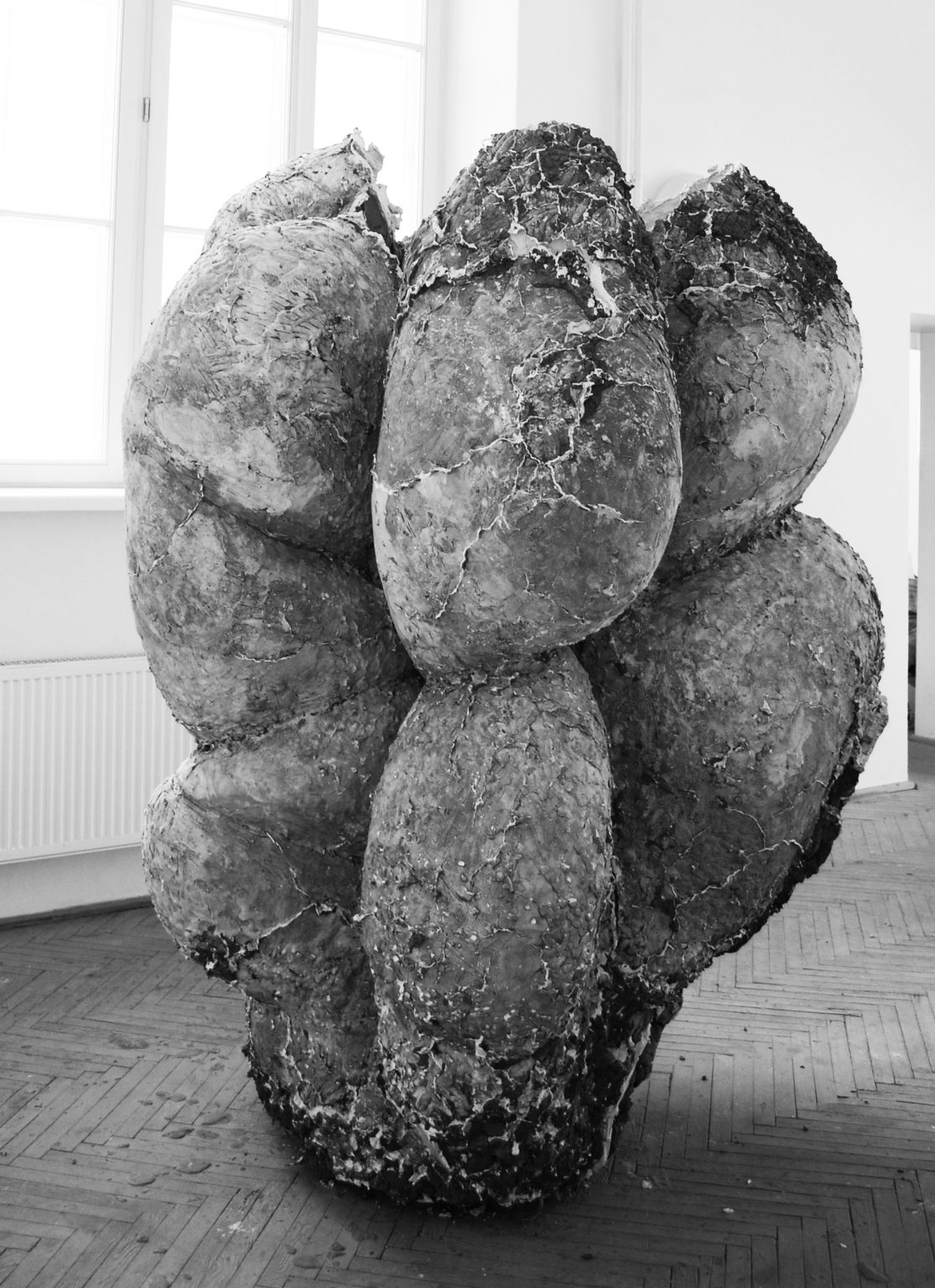 M.Wójcik, Biologizm, 2014