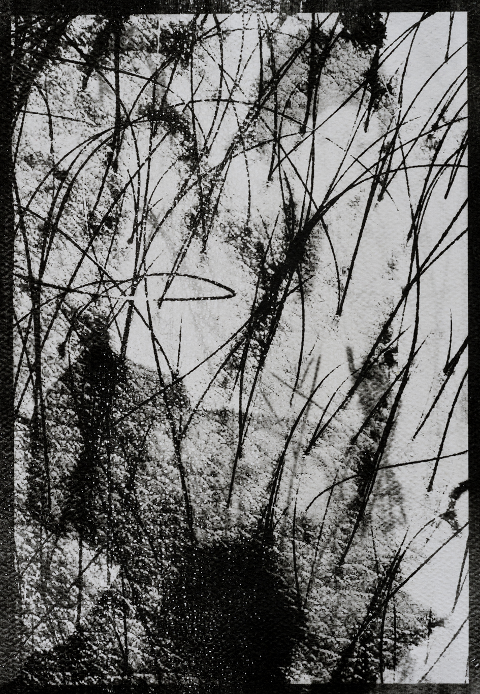 Paulina Jędrzejczyk