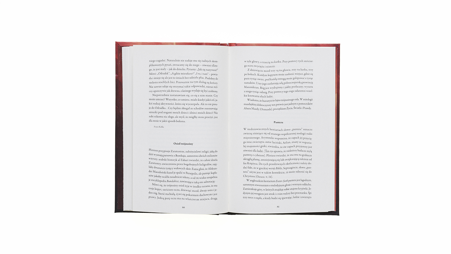 Krzysztof Puławski - Borges