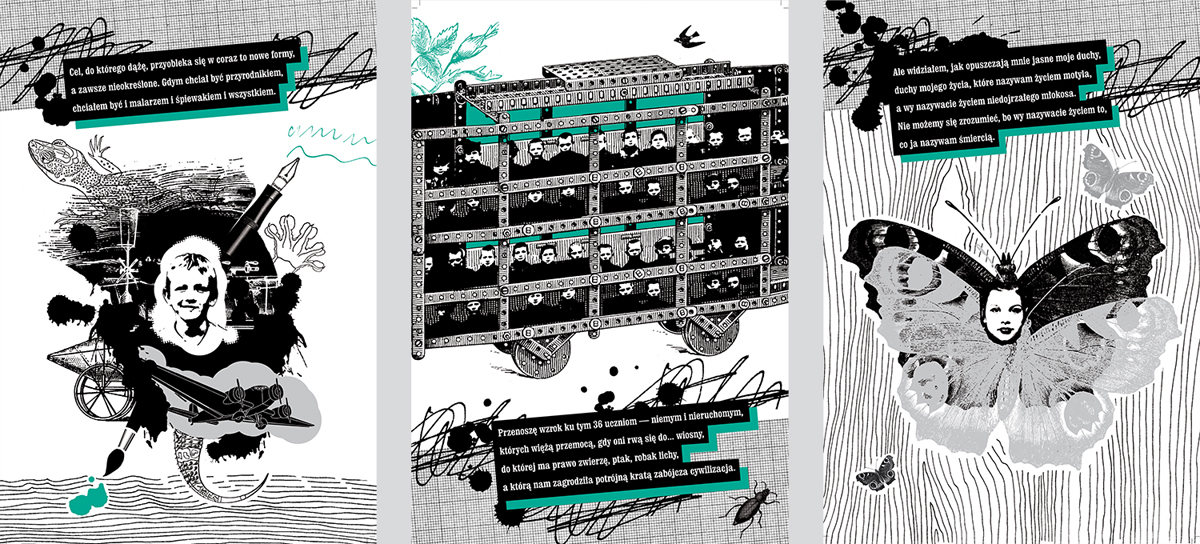 Bobo Feralny dzień powiedz motyla – ilustracje