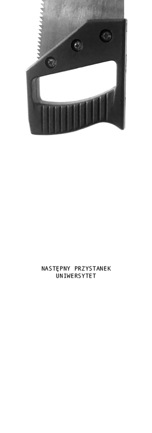 Agata Popik - Przedmiot