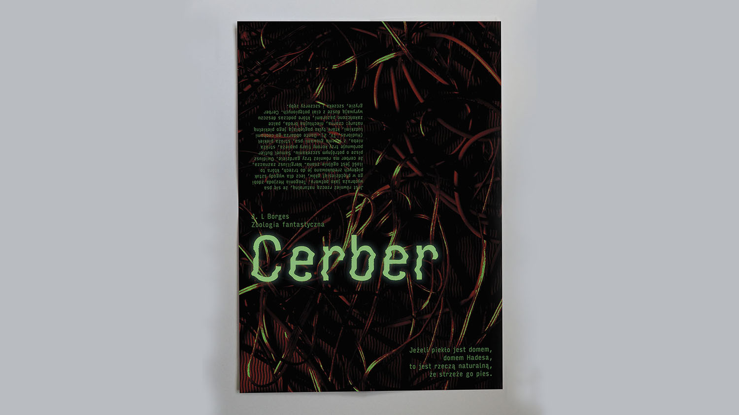 Justyna Stolarczyk - Afisz