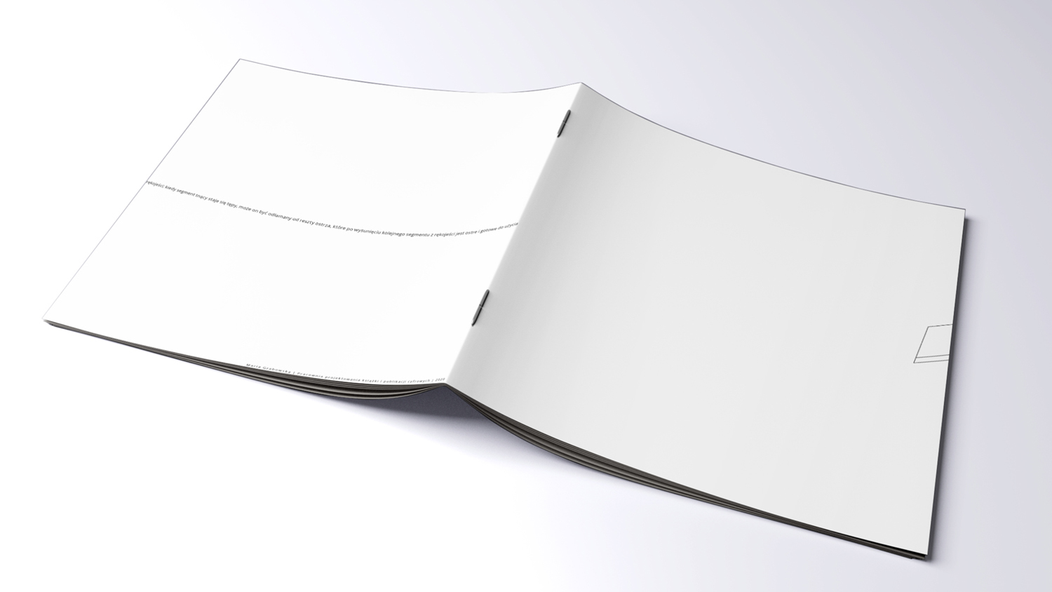 Maria Grabowska - Przedmioty