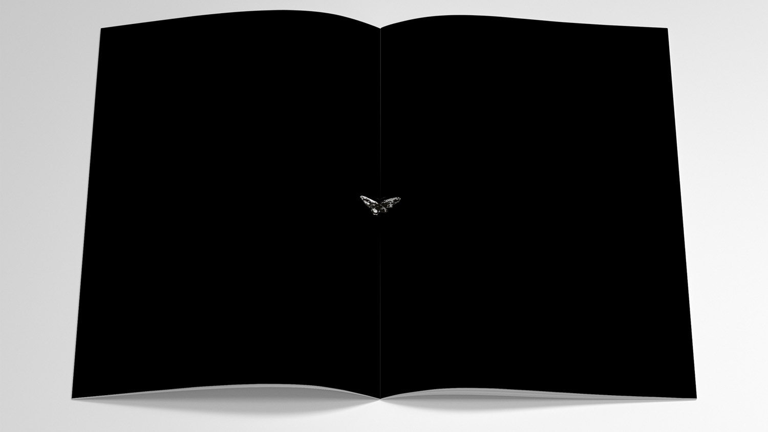 Maria Grabowska - Virginia Woolf