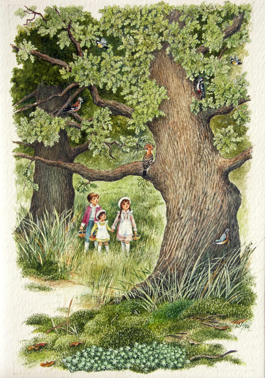 Troje dzieci w głębi lasu patrzy na ptaki