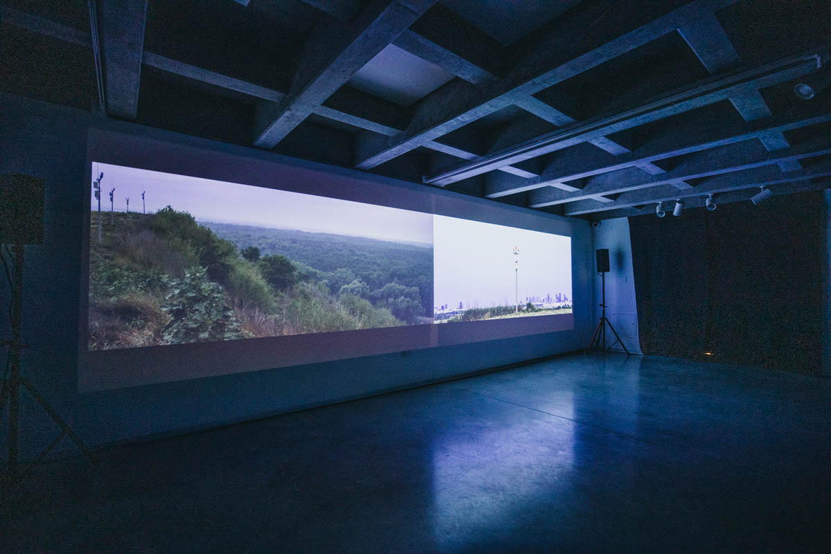 Na ścianie sali wystawowej wyświetlane są obok siebie dwa kadry. Jeden przedstawia szeroką panoramę lasu widoczną z wysokiej skarpy, na drugim widać fragment panoramy centrum miasta ze stojącymi wieżowcami