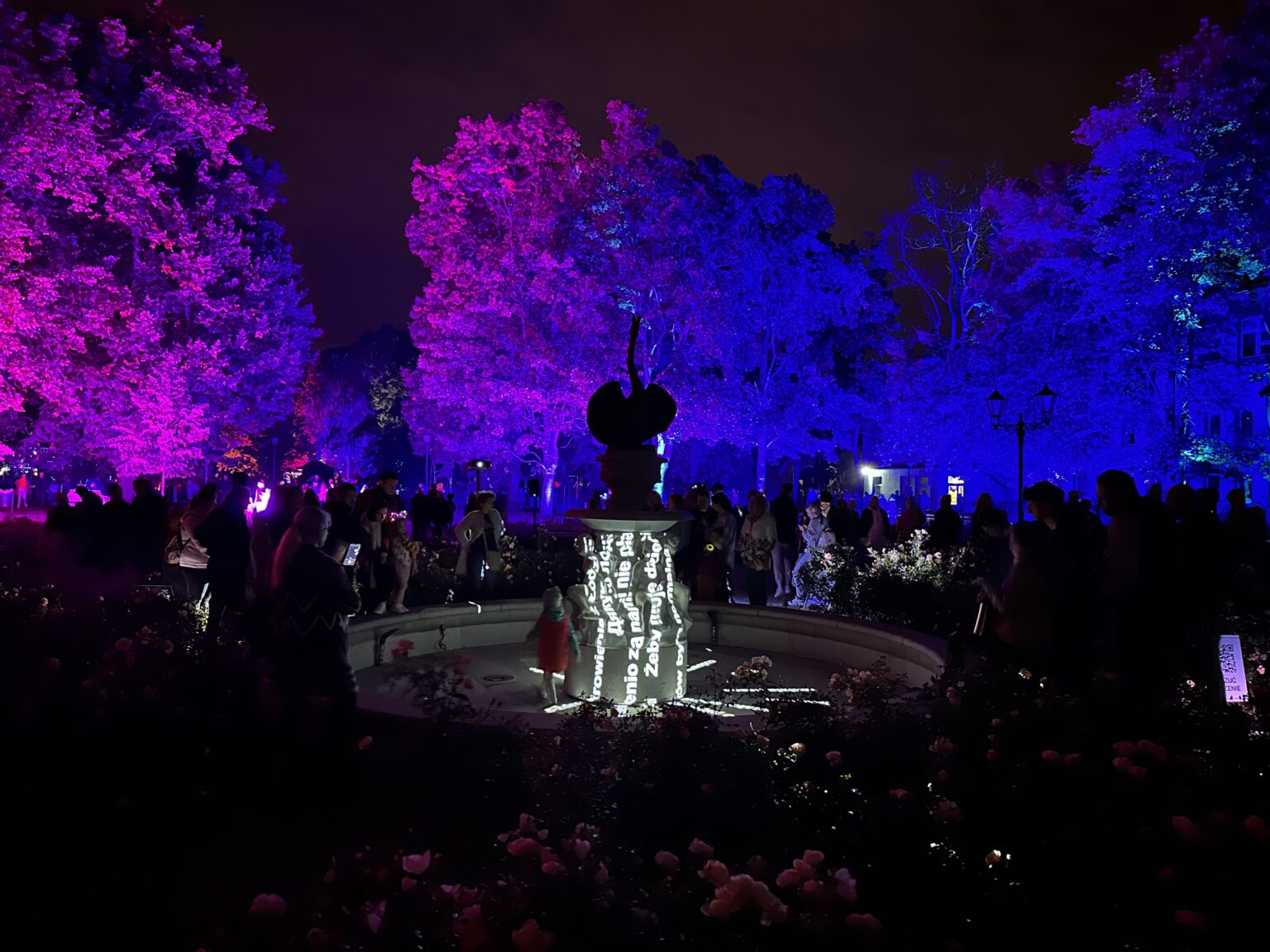 Podświetlona fontanna nocą