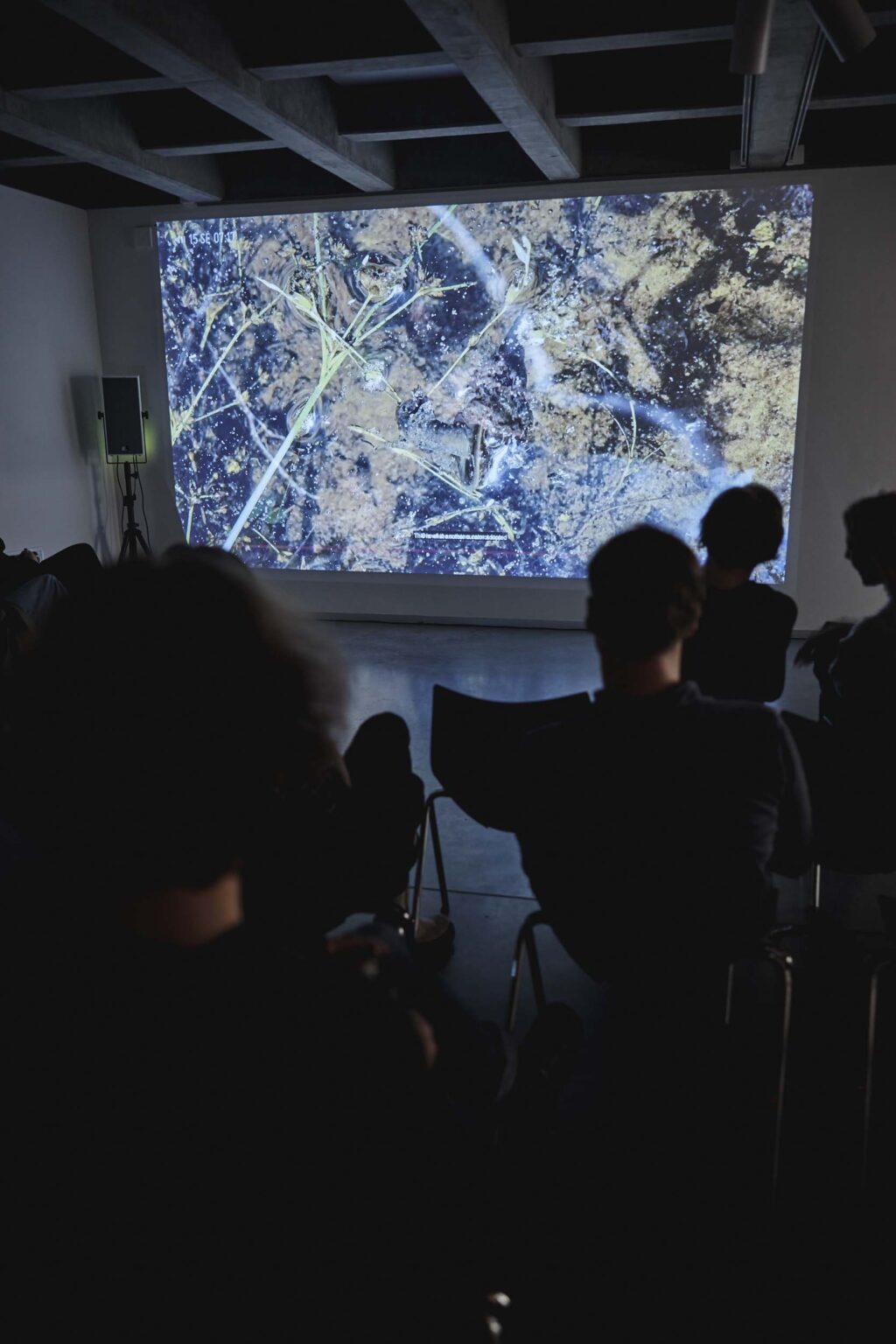 Grupa osób ogląda projekcję video