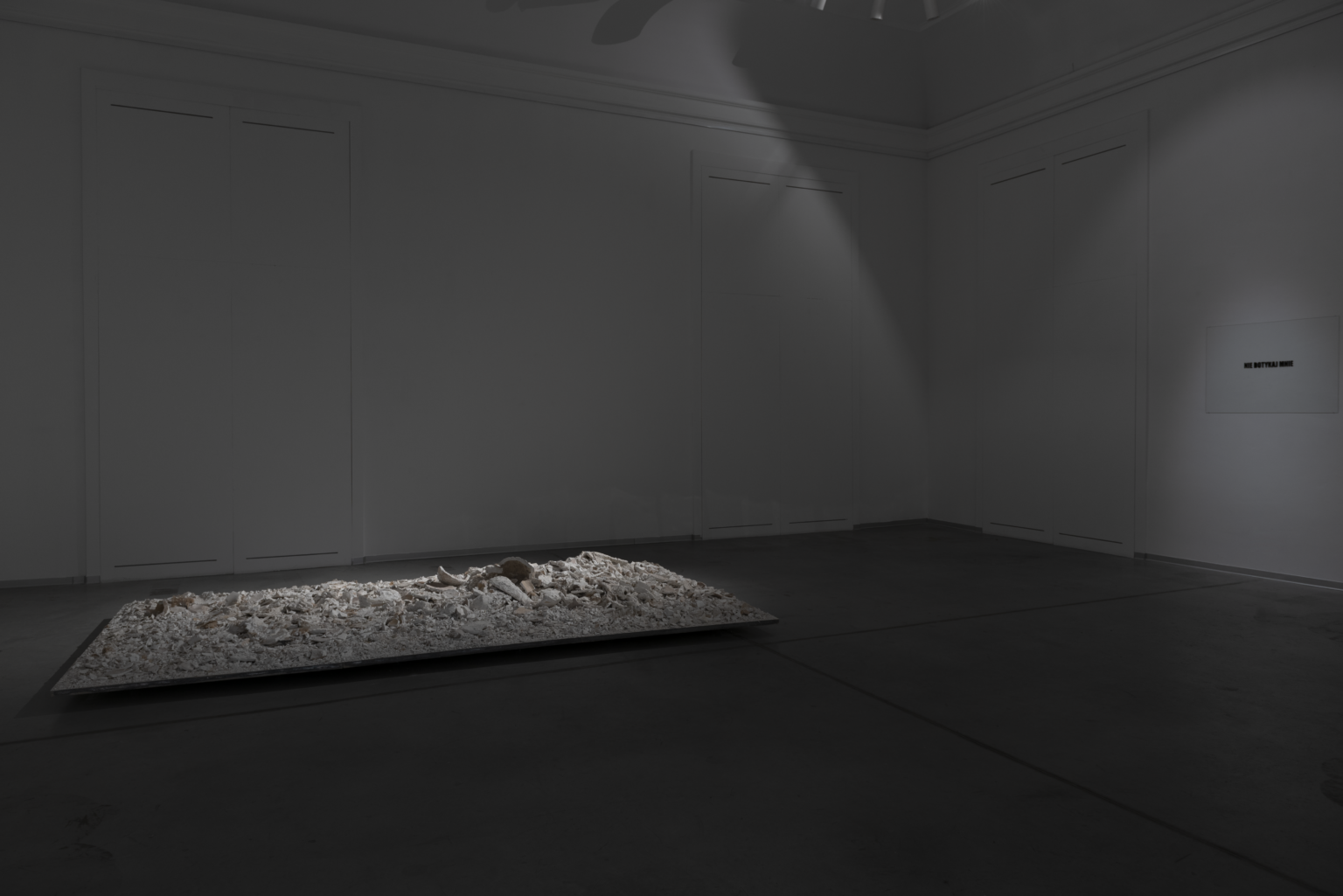 Lekko zamglone zdjęcie ekspozycji.