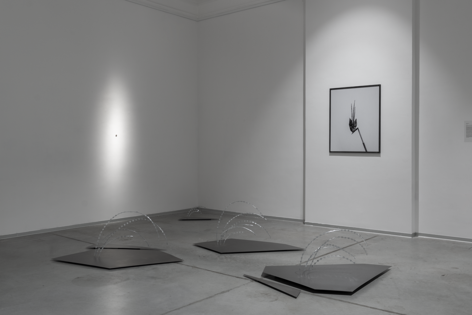 Ekspozycja z drutów wyglądających jak trzcina.