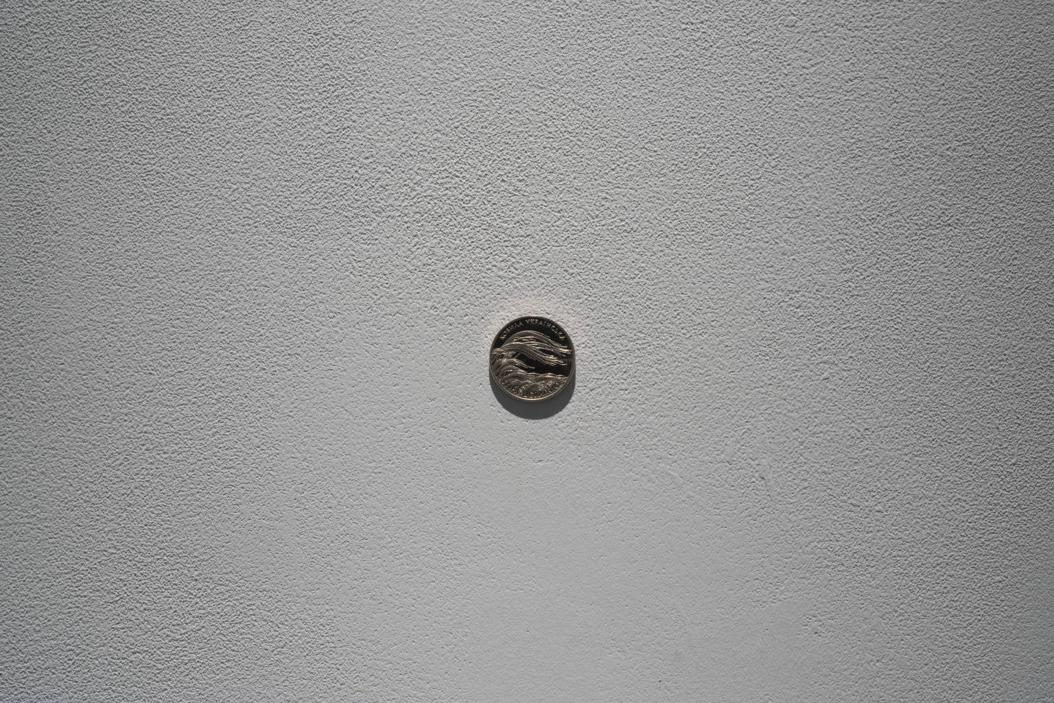 Roślina okrągła na białym tle.