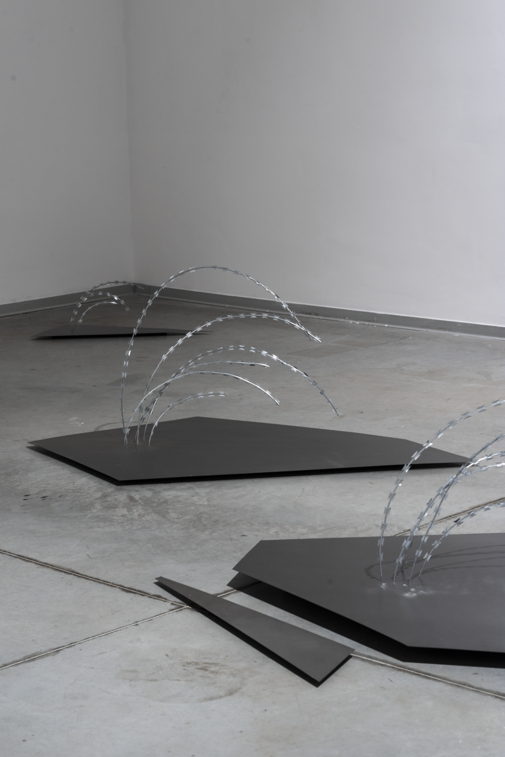 Ekspozycja przypominająca trzcinę.