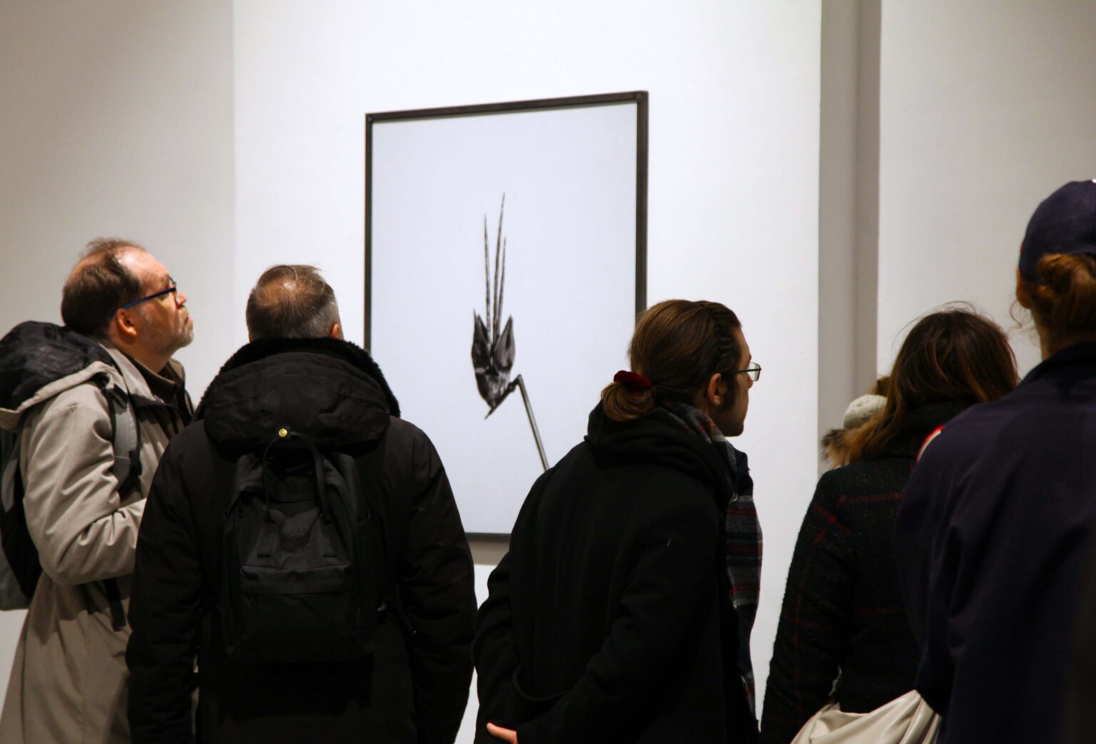 Kilka osób przygląda się obrazowi na ścianie galerii