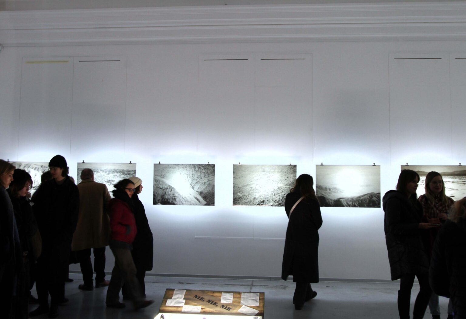 Zwiedzający oglądają monochromatyczne obrazy powieszone w jednej linii