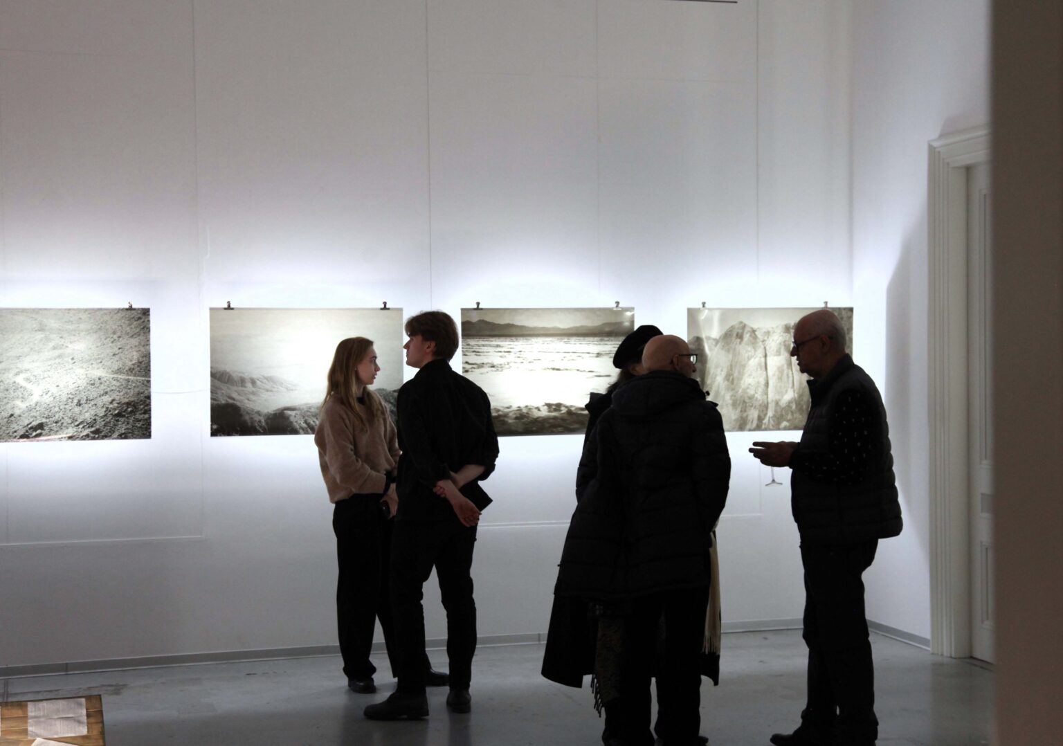 Grupa osób oglądających obrazy w monochromatycznych barwach