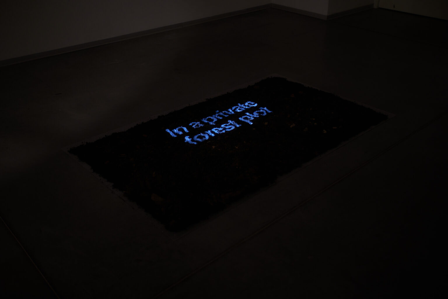 Widok pracy artystycznej umieszczonej na ziemi. Na niej znajduje się niebieski napis "Ina aprivate forest plot"