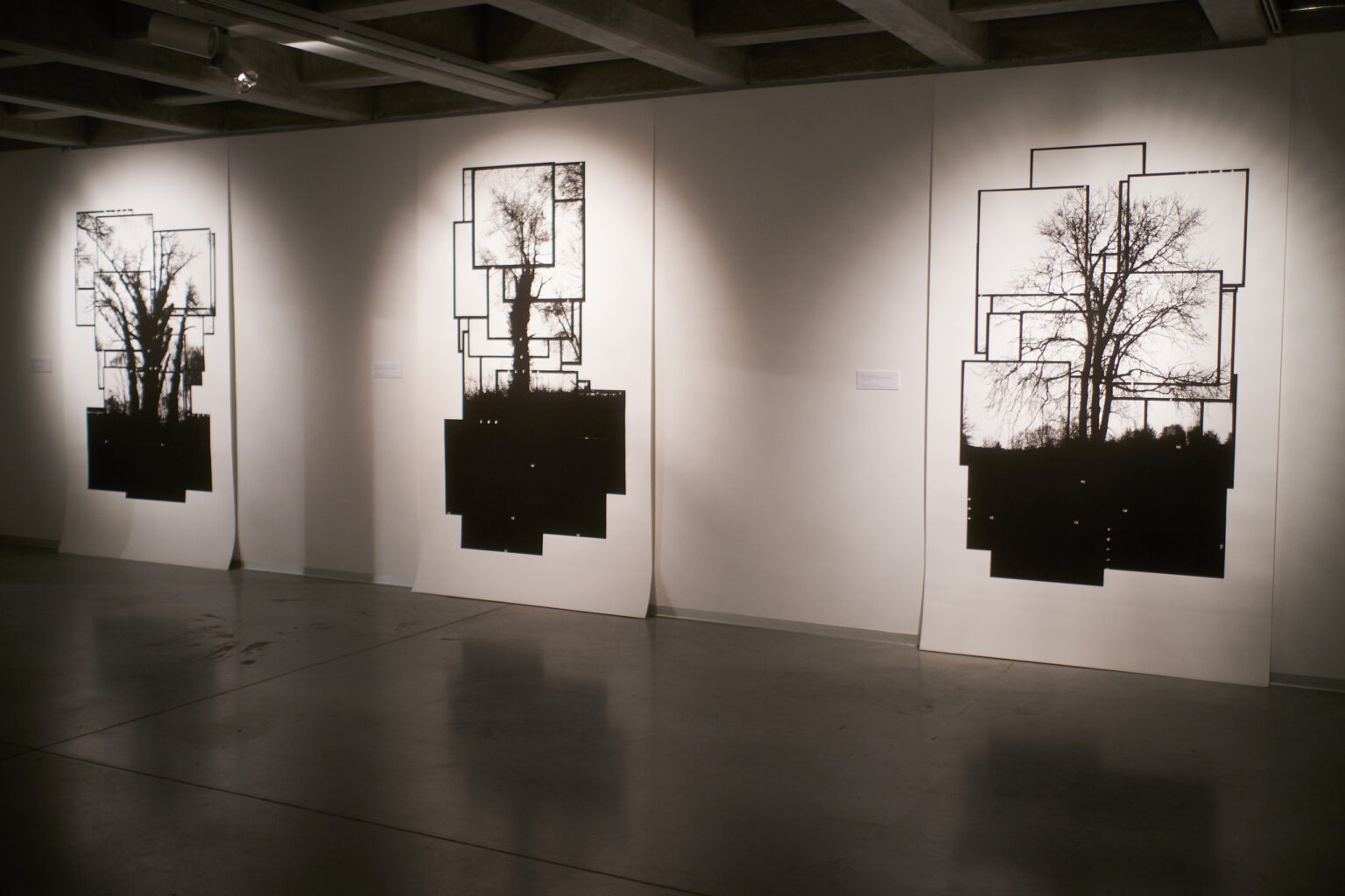 Widok galerii sztuki. Na ścianach podświetlone od góry czarno-białe wydruki przedstawiające drzewa.
