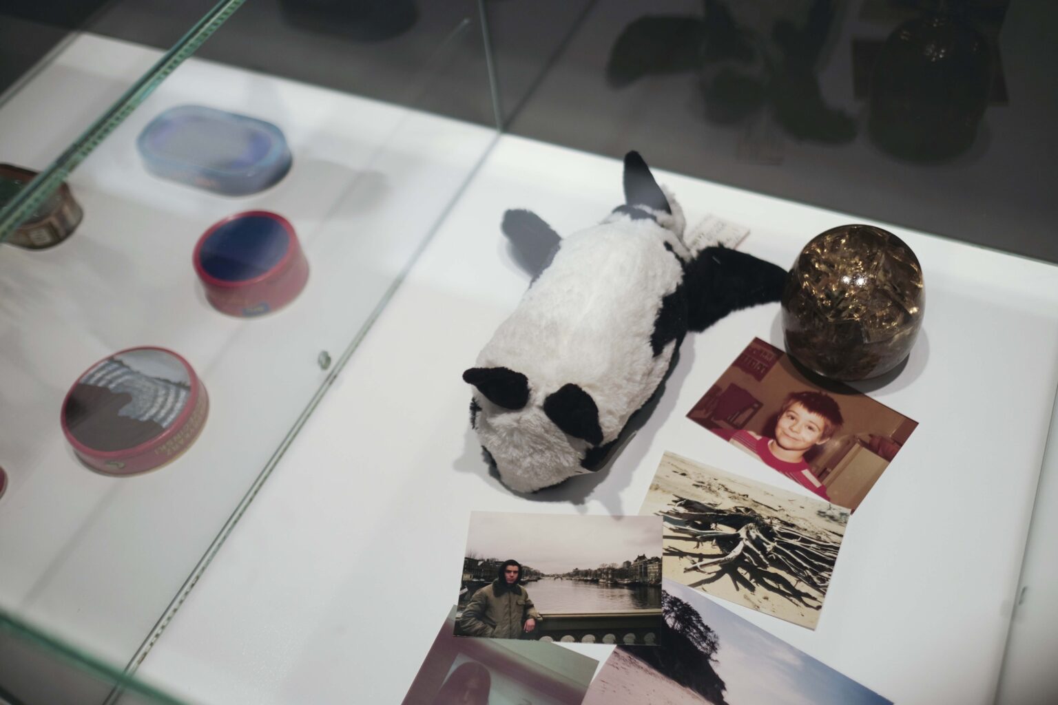 Zbliżenia na eksponaty w gablocie