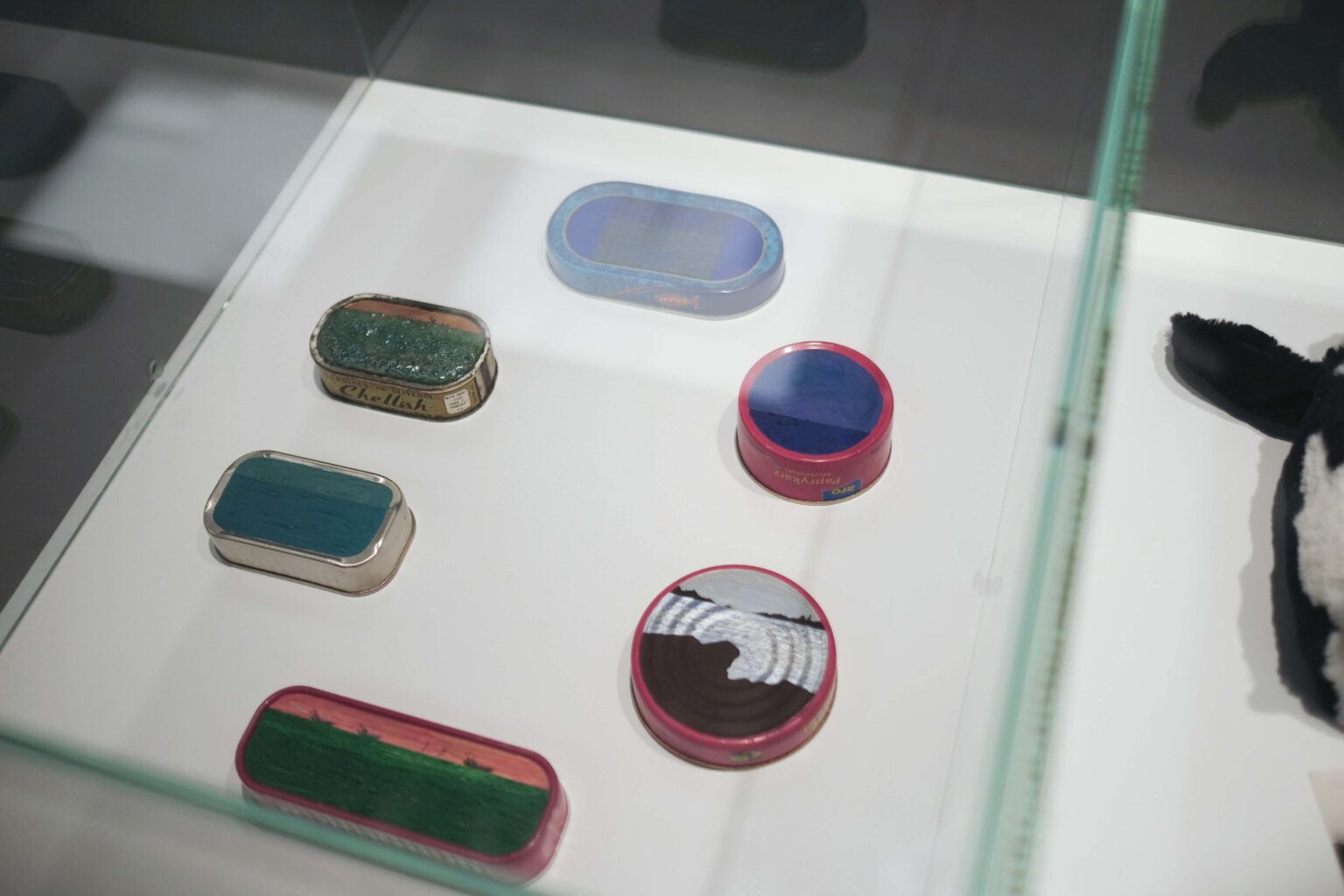 Zbliżenia na eksponaty w gablocie