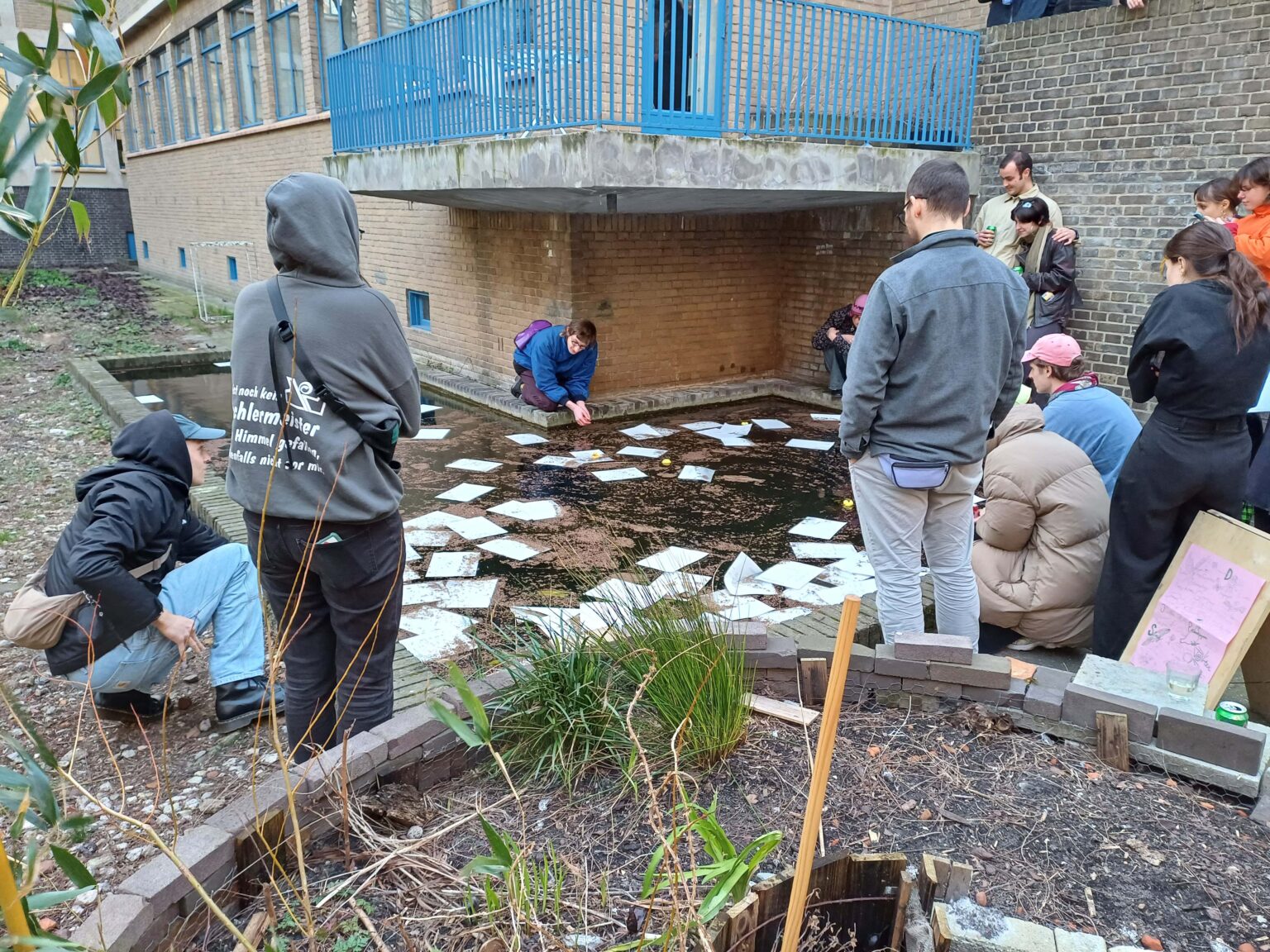 Kilka osów przed budynkiem. Kartki papieru porozrzucane na ziemi
