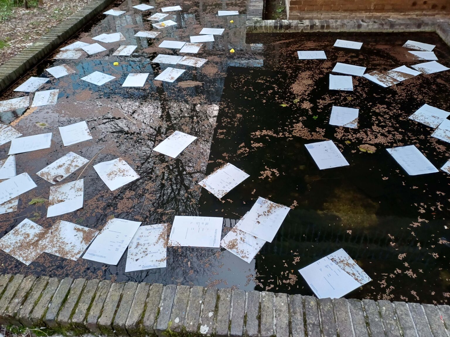 Dużo kartek papieru w zbiorniku wodnym