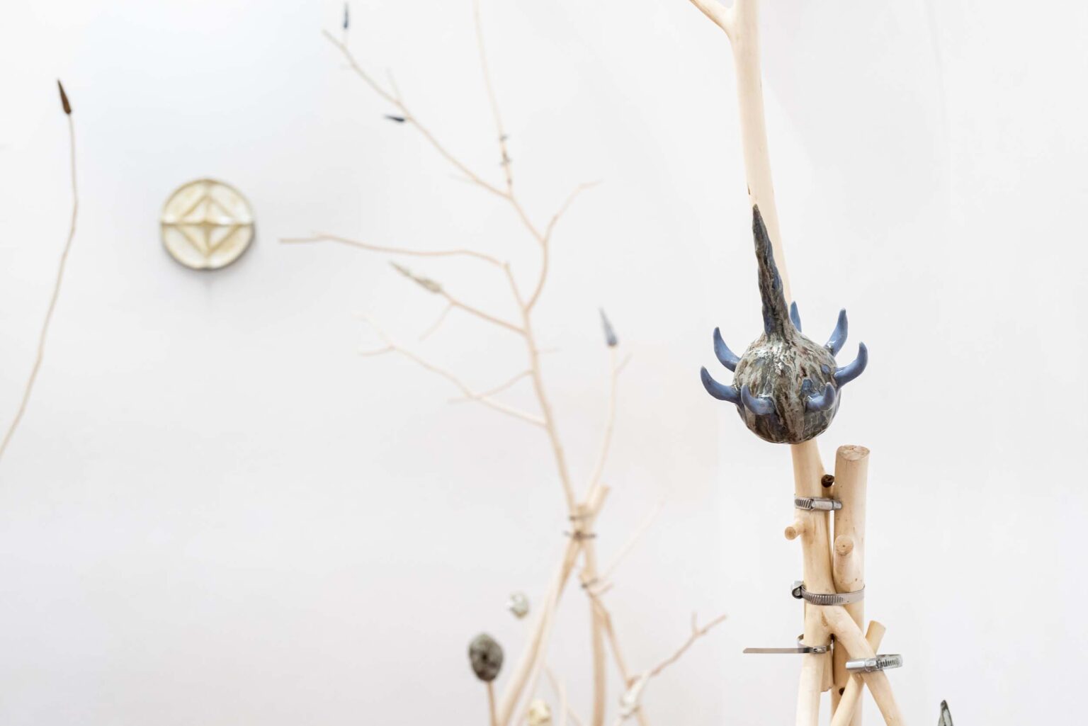 gałązki i obiekty na białym tle