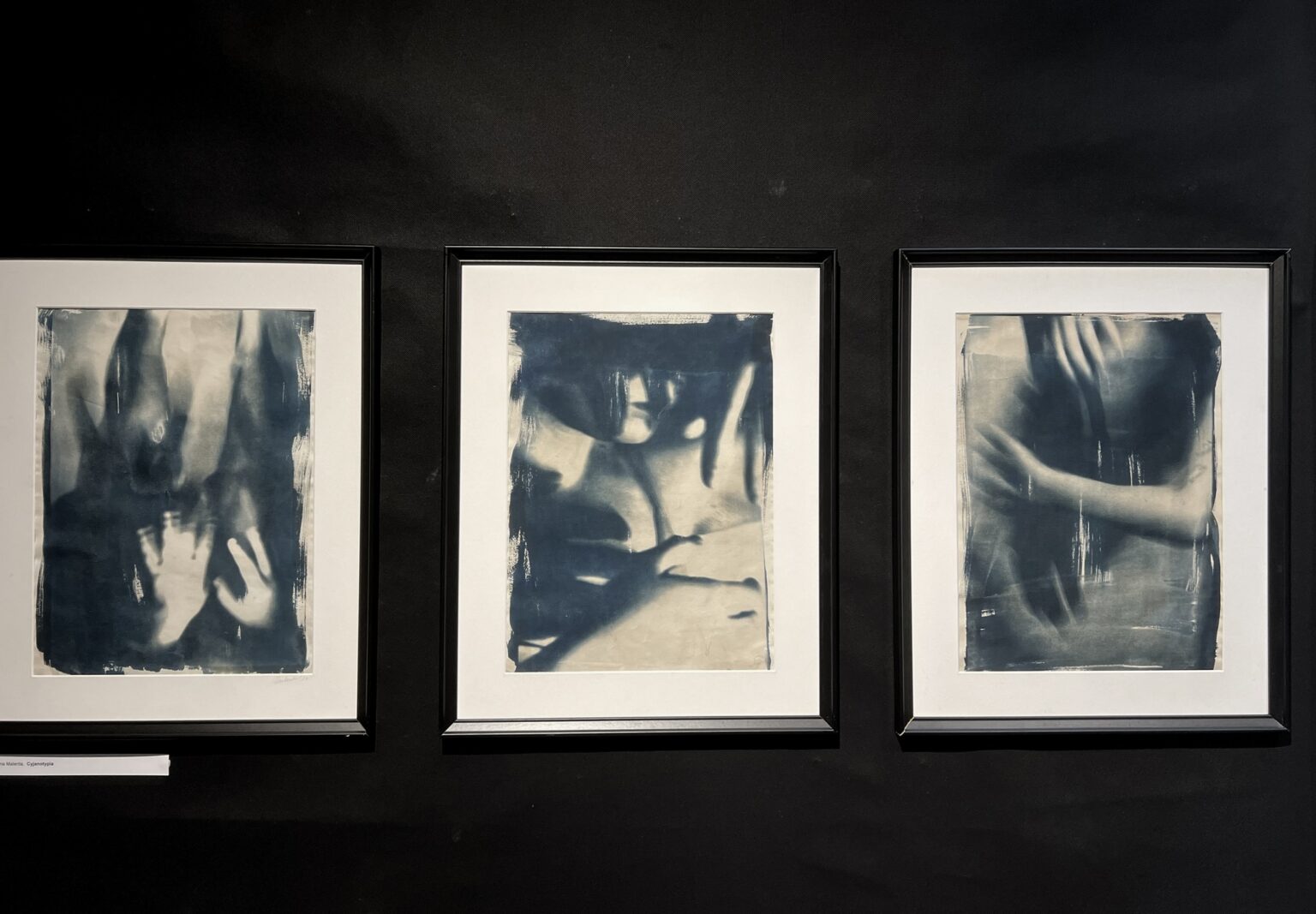 trzy fotografie w technice cyjanotypii