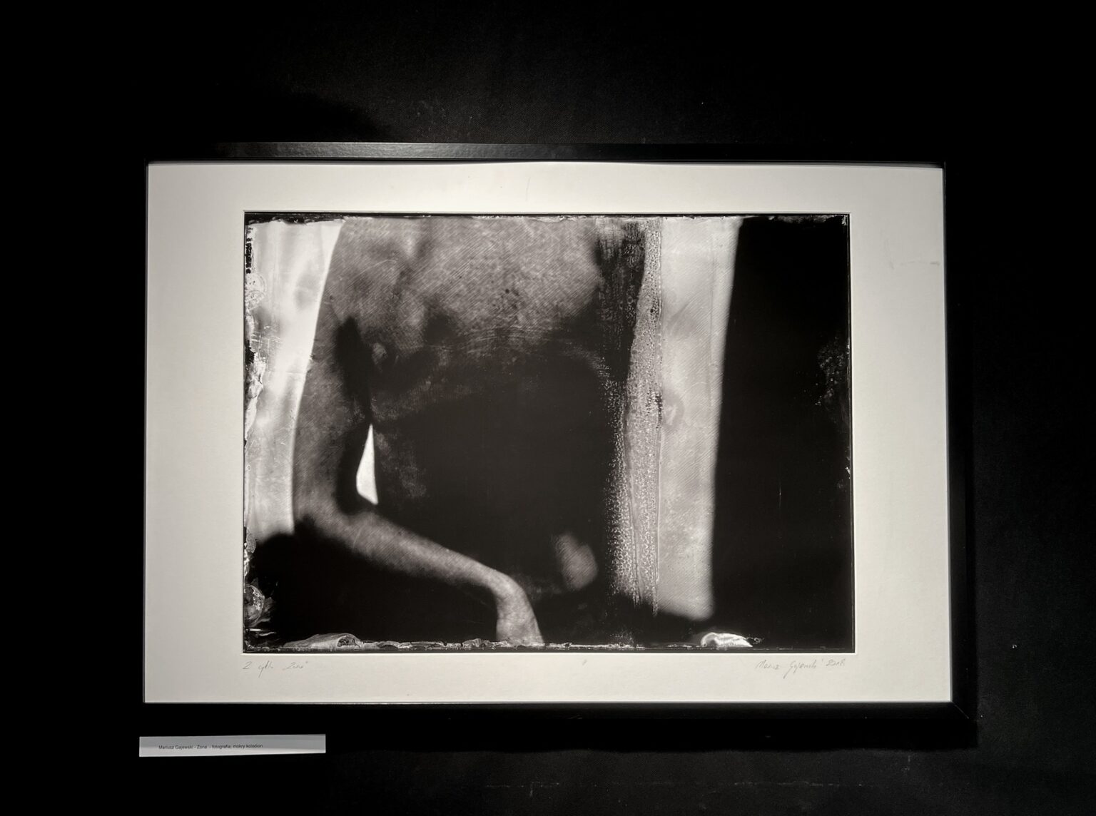 fotografia czarno biała w technice mokrego kolodionu