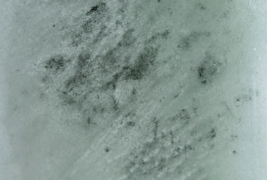 Fragment zdjęcia w jasnozielonych barwach