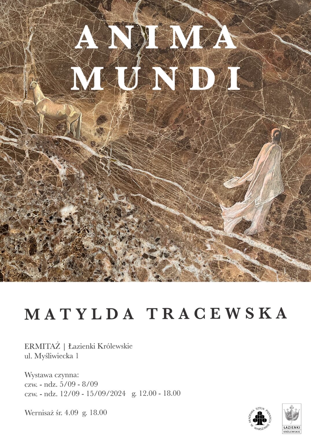 Plakat z motywem kamienia