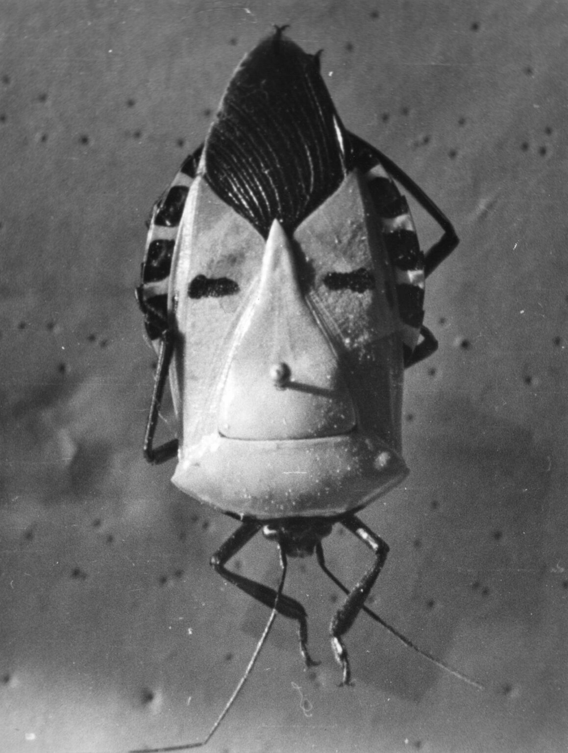 czarno-biała fotografia przedstawia maskę