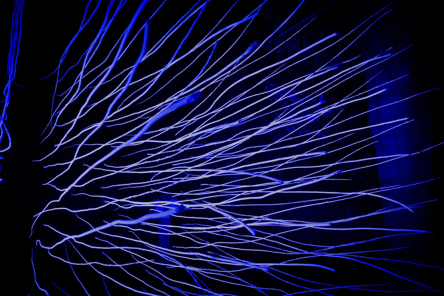 instalacja świetlna w kolorze niebieskim nocą