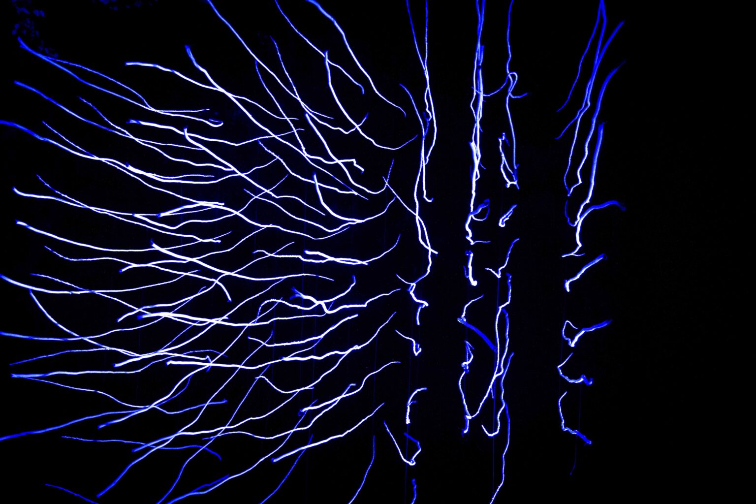 pozioma, niebieska instalacja świetlna nocą